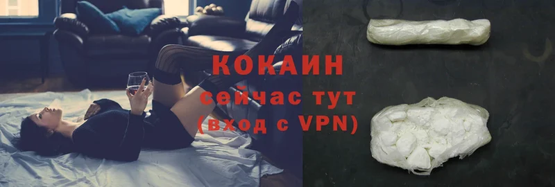 COCAIN VHQ  Шуя 